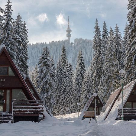 Villa Complex Malina Pamporovo Esterno foto