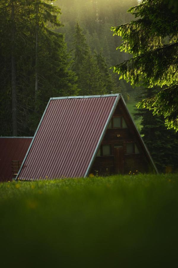 Villa Complex Malina Pamporovo Esterno foto