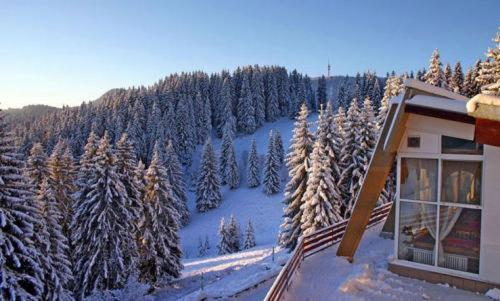 Villa Complex Malina Pamporovo Esterno foto