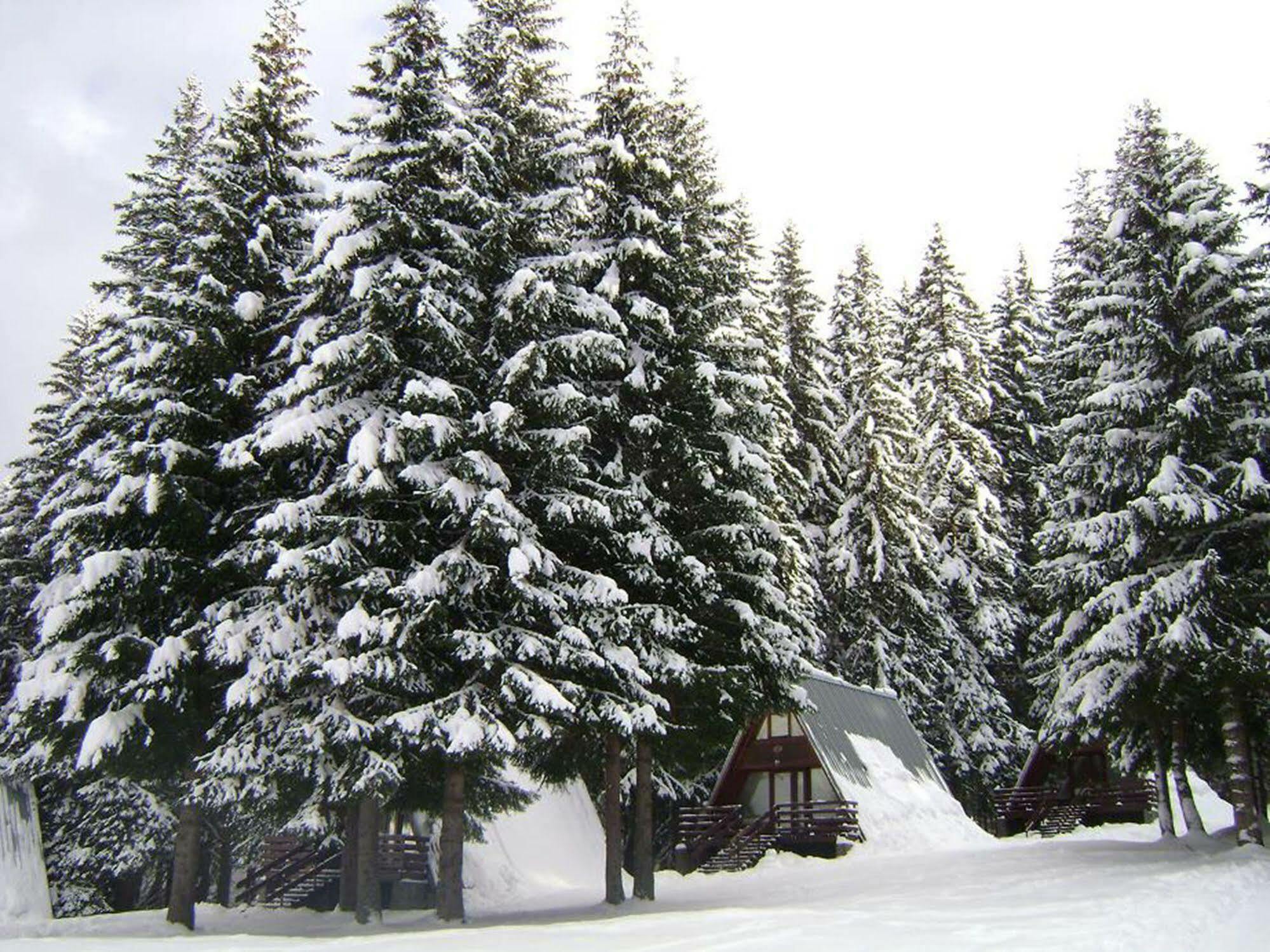 Villa Complex Malina Pamporovo Esterno foto