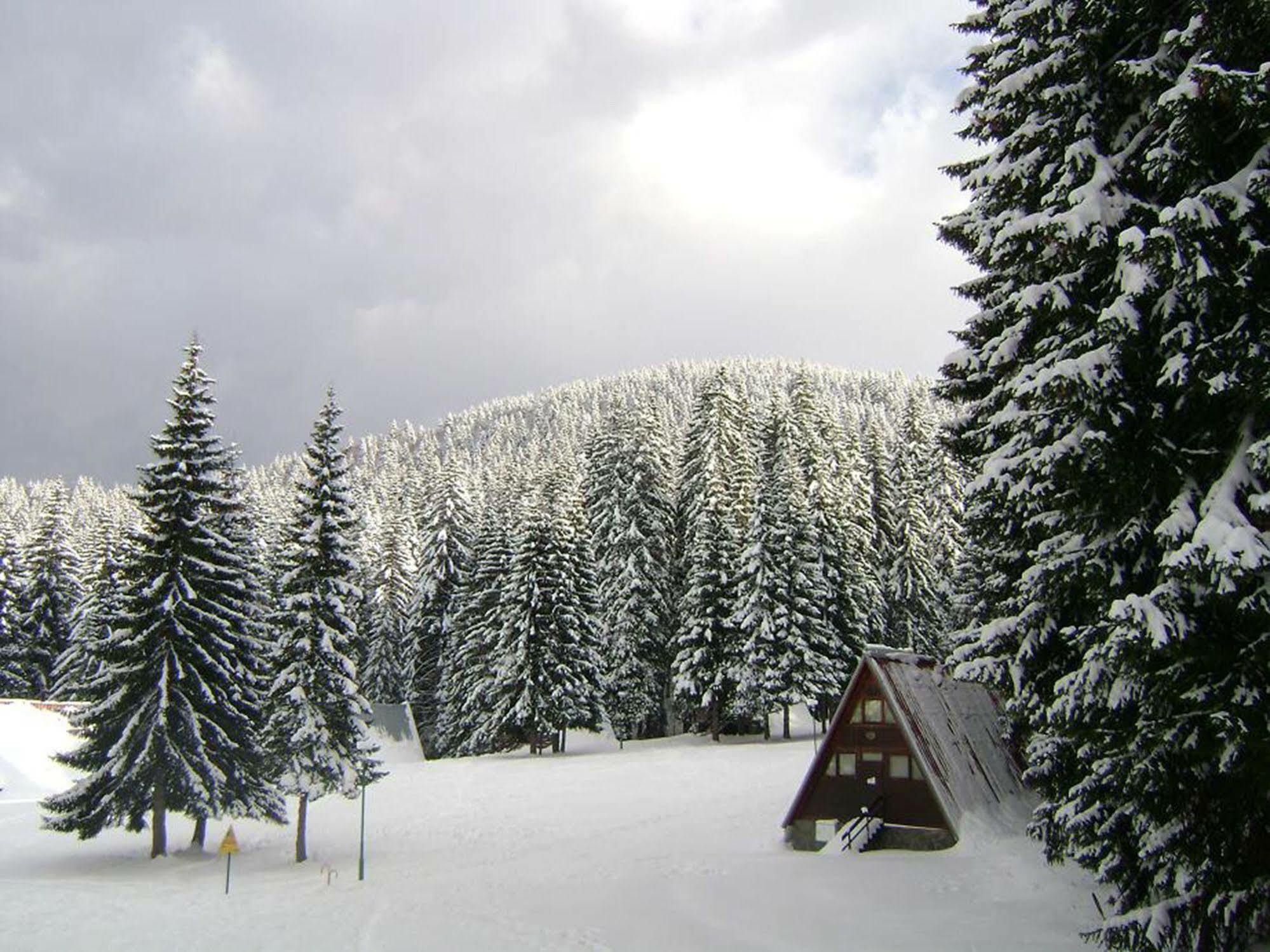 Villa Complex Malina Pamporovo Esterno foto